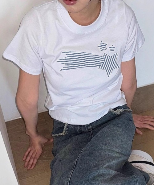 LAC-VERT(ラック・ヴェール)の「ストライプながれぼしTシャツ(Tシャツ/カットソー・レディース・ホワイト/ネイビー・FREE)」の2枚目の写真