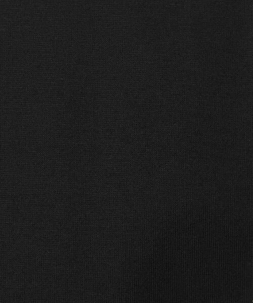 green label relaxing(グリーンレーベルリラクシング)の「ドット ソデ チュール プルオーバー カットソー(Tシャツ/カットソー・レディース・ブラック/オフホワイト・FREE)」の12枚目の写真