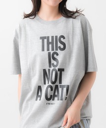This is not a cat. / ディスイズ ノット ア キャット  Tシャツ ロゴ ロゴT UNIVERSITY TEE MDI