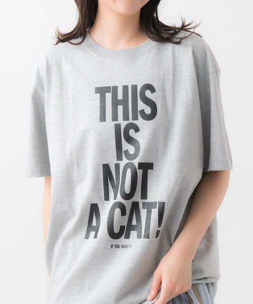This is not a cat.(ディスイズノットアキャット)の「This is not a cat. / ディスイズ ノット ア キャット Tシャツ ロゴ ロゴT UNIVERSITY TEE MDI(Tシャツ/カットソー・レディース・その他1/その他2/その他3/その他4・FREE)」の2枚目の写真