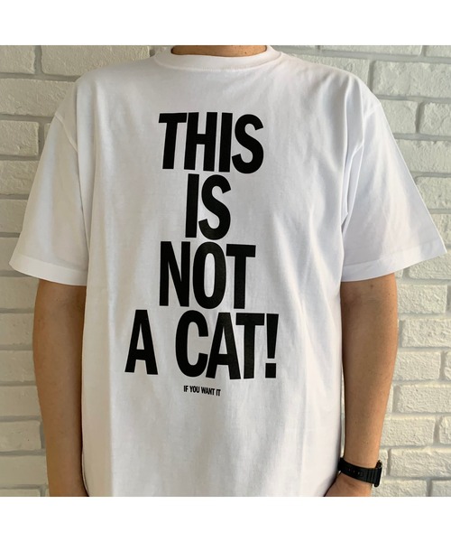 This is not a cat.(ディスイズノットアキャット)の「This is not a cat. / ディスイズ ノット ア キャット Tシャツ ロゴ ロゴT UNIVERSITY TEE MDI(Tシャツ/カットソー・レディース・その他1/その他2/その他3/その他4・FREE)」の7枚目の写真