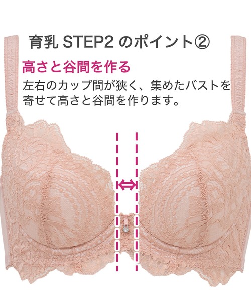 D65 ブラデリス ベルステップ ブラ パンティ ブラデリス ベルステップ2ブラ24S1 | ブラデリスニューヨーク