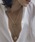 IRIS47�i�C���X�t�H�[�Z�u���j�́u�yIRIS47�zselene necklace / �Z���l�@�l�b�N���X�i�l�b�N���X�j�v�b�S�[���h