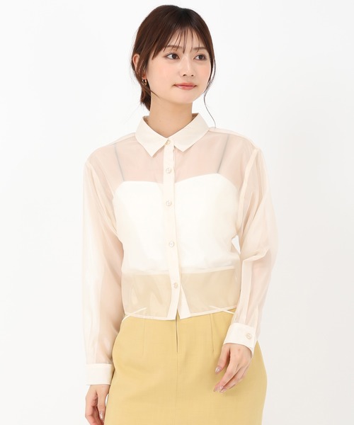 MISCH MASCH(ミッシュマッシュ)の「クロップドシアーシャツ(シャツ/ブラウス・レディース・ホワイト/ベージュ/ピンク・フリ-)」の6枚目の写真