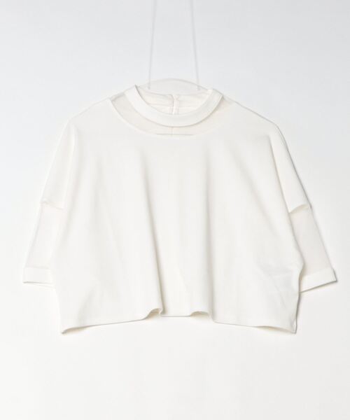 DIP IN CHOCOLATE(ディップインチョコレート)の「コンビネーションシアーカットソー【DIP IN CHOCOLATE】(Tシャツ/カットソー・レディース・ブラック/ライトグレー/オフホワイト・F)」の5枚目の写真