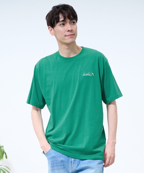 Arnold Palmer(アーノルドパーマー)の「シェア レイングラフィック バックロゴ Tシャツ(Tシャツ/カットソー・レディース・ホワイト/グリーン・S/XS/L/M/LL)」の12枚目の写真