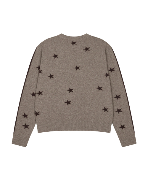 LARTIGENT（ラーティゼン）の「L20 REVERSE STAR KNIT(BROWN)（ニット/セーター・レディース・その他・FREE）」の2枚目の写真
