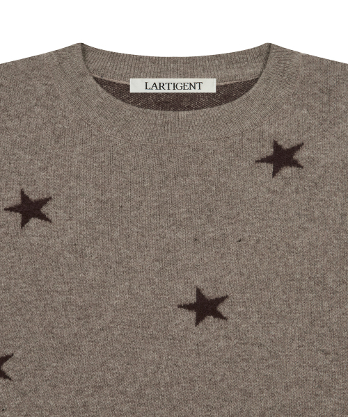 LARTIGENT（ラーティゼン）の「L20 REVERSE STAR KNIT(BROWN)（ニット/セーター・レディース・その他・FREE）」の3枚目の写真
