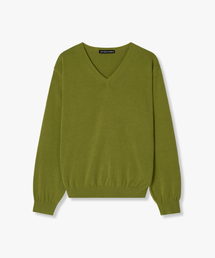 Regular Cotton V-Neck Knit (Olive)