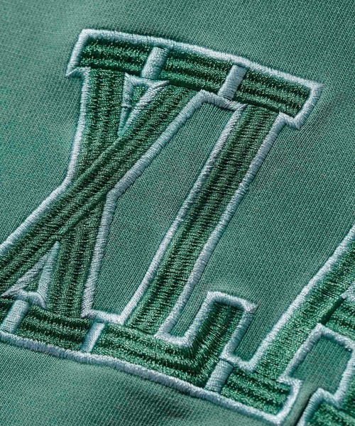 XLARGE（エクストララージ）の「PIGMENT PANELED PULLOVER HOODED SWEAT（パーカー・メンズ・ブラック/グリーン・S/M/L/XL）」の7枚目の写真