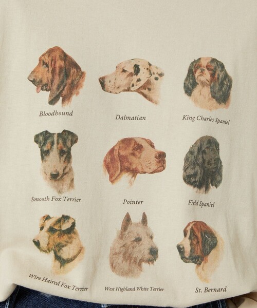 FREAK'S STORE(フリークスストア)の「9DOGs ARTロンT(Tシャツ/カットソー・レディース・ベージュ/ホワイト/ライトグレー/オフホワイト/グレー・フリ-)」の9枚目の写真