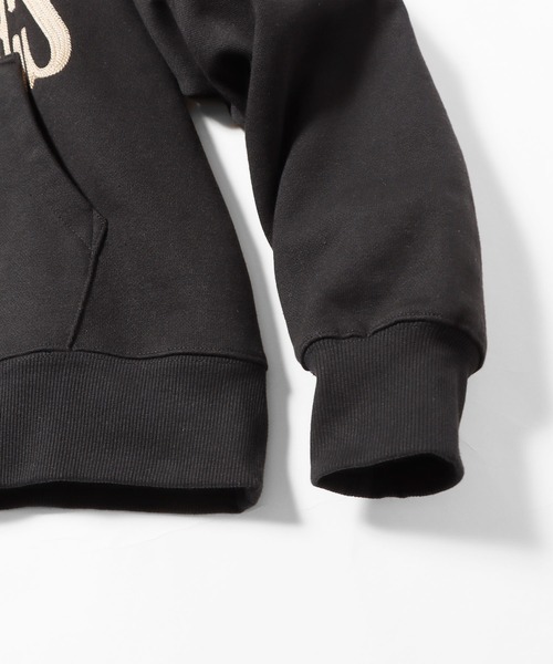 PLEASURES（プレジャー）の「PLEASURES/プレジャーズ LATEX HOODIE フーディー ブランドロゴ（パーカー・メンズ・ブラック/マスタード/グリーン・M/XL/L）」の11枚目の写真