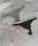ALEXIA STAMiAVAX^j́uLogo Band Panty /V[c3_SetiV[cjvb}`