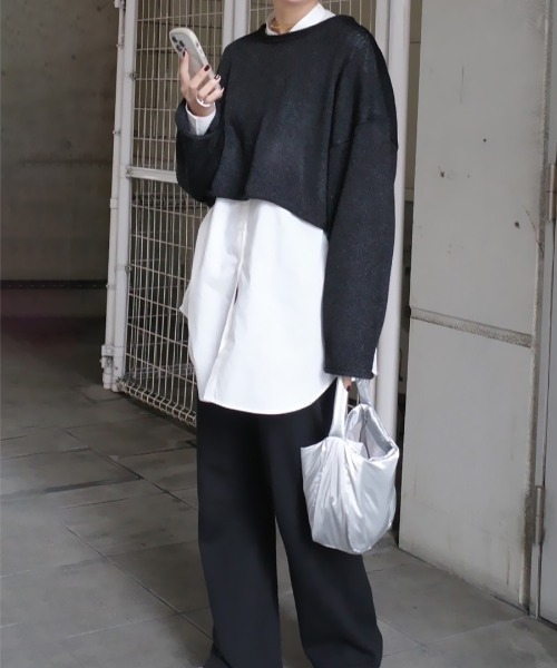 HEILIS（ヘイリス）の「《hideka select》ラメショートニット / クロップド丈（ニット/セーター・レディース・ブラック・FREE）」の3枚目の写真