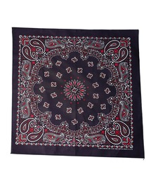 HAV-A-HANK（ハバハンク ）の「【RES】【HAV-A-HANK】PAISLEY　BANDANNA（バンダナ/スカーフ）」