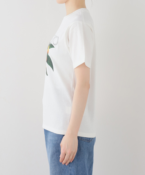 La TOTALITE(ラトータリテ)の「【洗える】fruit print Tシャツ(Tシャツ/カットソー・レディース・ホワイト系その他/ホワイト・FREE)」の14枚目の写真