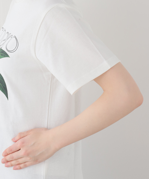 La TOTALITE(ラトータリテ)の「【洗える】fruit print Tシャツ(Tシャツ/カットソー・レディース・ホワイト系その他/ホワイト・FREE)」の16枚目の写真