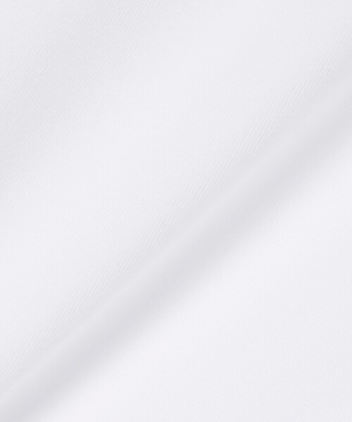 LACOSTE(ラコステ)の「カラー&カフスラインスリムフィットポロシャツ(ポロシャツ・レディース・ネイビー/ホワイト・40/38/34/36)」の14枚目の写真