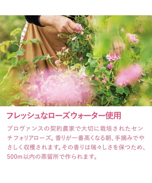 L'OCCITANE(ロクシタン)の「ローズ ハンドクリーム BOX入り(ハンドケア/ハンドクリーム・レディース・その他・FREE)」の4枚目の写真
