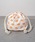 Dickies�i�f�B�b�L�[�Y�j�́u�yDickies�zDK EX PRINT PURSE BAG MN / �f�B�b�L�[�Y ���S���� �v�����g �p�[�X�o�b�O�i�n���h�o�b�O�j�v�b�I�����W