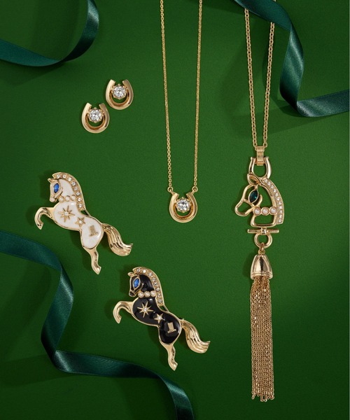 LANVIN en Bleu（ランバンオンブルー）の「ホースシューモチーフ ネックレス（ネックレス・レディース・シルバー/ゴールド・40cm）」の8枚目の写真