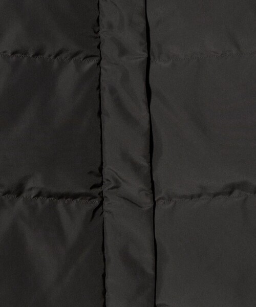 A DAY IN THE LIFE UNITED ARROWS(アデイインザライフユナイテッドアローズ)の「ショール ダウンジャケット <A DAY IN THE LIFE>(ダウンジャケット/コート・レディース・ダークグレー/ブラック/ナチュラル・38/40)」の22枚目の写真