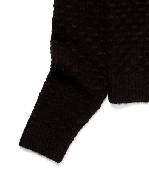 Ray BEAMS（レイビームス）の「Ray BEAMS / ドット編み クルーネック プルオーバー（ニット/セーター・レディース・オフホワイト/ブラック・ONE SIZE）」の13枚目の写真