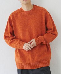 417 EDIFICE | Shaggy Dog / シャギードッグ クルーネックセーター(ニット/セーター)