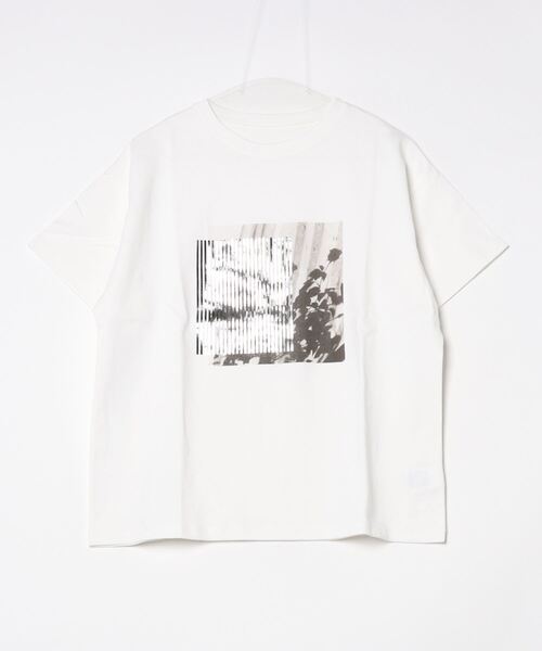 Per sist ence(パーシエンス)の「箔&カラープリントコットンオーバーサイズTシャツ(Tシャツ/カットソー・レディース・C/D/E/F/A/H/J/B/G/I・FREE)」の6枚目の写真