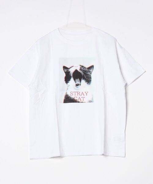 Per sist ence(パーシエンス)の「箔&カラープリントコットンオーバーサイズTシャツ(Tシャツ/カットソー・レディース・C/D/E/F/A/H/J/B/G/I・FREE)」の9枚目の写真