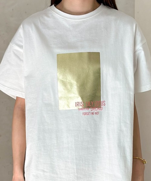 Per sist ence(パーシエンス)の「箔&カラープリントコットンオーバーサイズTシャツ(Tシャツ/カットソー・レディース・C/D/E/F/A/H/J/B/G/I・FREE)」の12枚目の写真