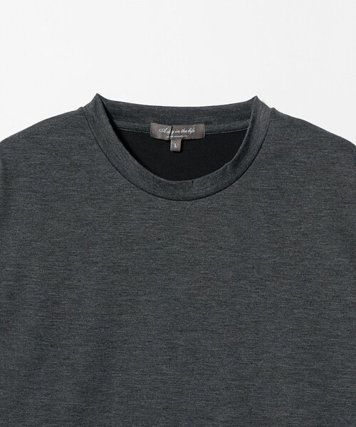 A DAY IN THE LIFE UNITED ARROWS(アデイインザライフユナイテッドアローズ)の「メランジ ポンチ クルーネックカットソー<A DAY IN THE LIFE>(Tシャツ/カットソー・メンズ・ベージュ/ロイヤルブルー/ダークグレー・M/L/S)」の16枚目の写真