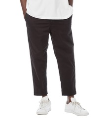 DAILY STANDARD by SANDINISTA（デイリースタンダードバイサンディニスタ）の「Chino Pants - Stretch Ankle Cut / チノストレッチアンクルカットパンツ（チノパンツ）」
