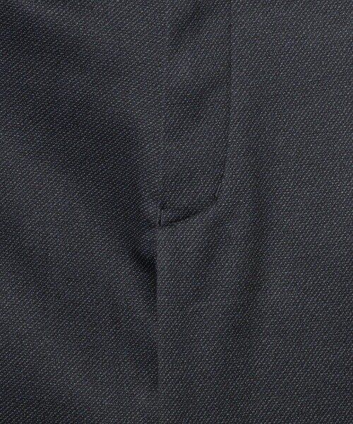 A DAY IN THE LIFE UNITED ARROWS(アデイインザライフユナイテッドアローズ)の「裏起毛 ポンチプリント イージーパンツ<A DAY IN THE LIFE>(スラックス・メンズ・グレー系/モカ/ネイビー/ダークグレー・XL/L/M/S)」の21枚目の写真