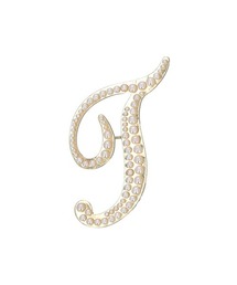 BACKYARD FAMILY（バックヤードファミリー）の「イニシャルブローチ pmyxd002（ブローチ/コサージュ）」