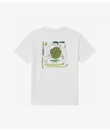 T-shirts Legumes /レギウムTシャツ