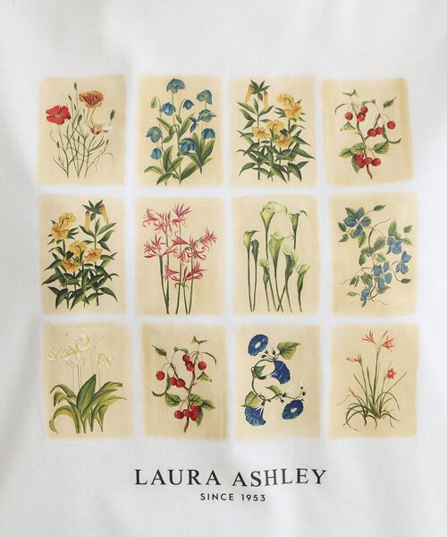 LAURA ASHLEY(ローラアシュレイ)の「【接触冷感/吸水速乾性/抗菌防臭】パーショア ポストカーズ柄Tシャツ(Tシャツ/カットソー・レディース・ライトグレー系9/ブラック/オフホワイト・38/40)」の7枚目の写真