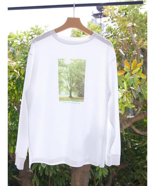 AMERICAN HOLIC(アメリカンホリック)の「Treeフォトカットプルオーバー(Tシャツ/カットソー・レディース・B/A・M/L)」の6枚目の写真