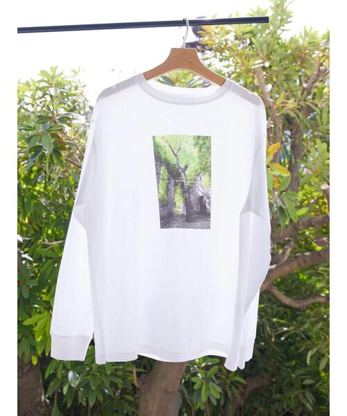 AMERICAN HOLIC(アメリカンホリック)の「Treeフォトカットプルオーバー(Tシャツ/カットソー・レディース・B/A・M/L)」の7枚目の写真