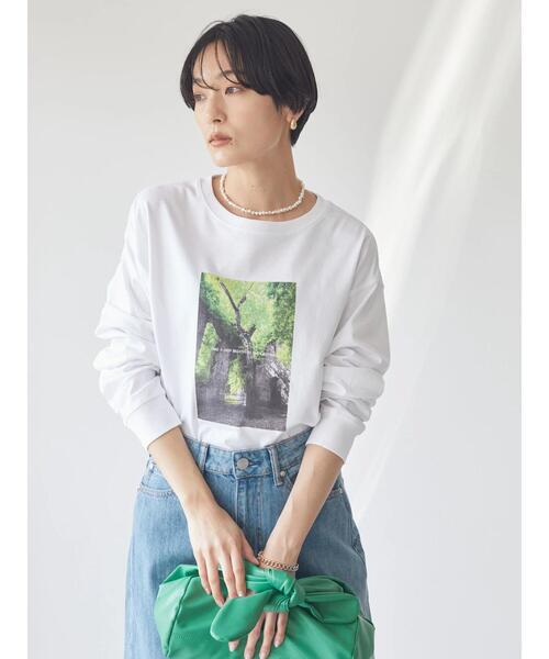 AMERICAN HOLIC(アメリカンホリック)の「Treeフォトカットプルオーバー(Tシャツ/カットソー・レディース・B/A・M/L)」の9枚目の写真