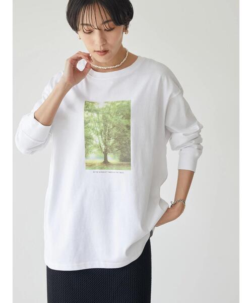AMERICAN HOLIC(アメリカンホリック)の「Treeフォトカットプルオーバー(Tシャツ/カットソー・レディース・B/A・M/L)」の14枚目の写真