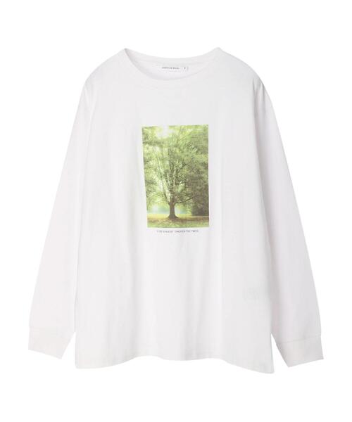 AMERICAN HOLIC(アメリカンホリック)の「Treeフォトカットプルオーバー(Tシャツ/カットソー・レディース・B/A・M/L)」の4枚目の写真