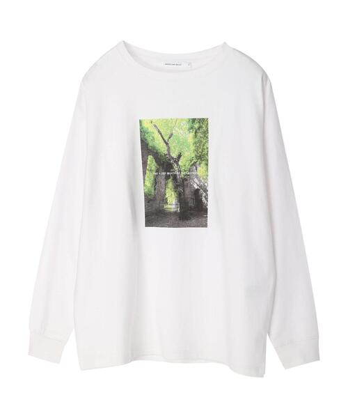 AMERICAN HOLIC(アメリカンホリック)の「Treeフォトカットプルオーバー(Tシャツ/カットソー・レディース・B/A・M/L)」の5枚目の写真