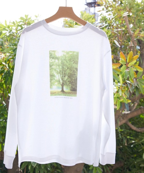 AMERICAN HOLIC(アメリカンホリック)の「Treeフォトカットプルオーバー(Tシャツ/カットソー・レディース・B/A・M/L)」の1枚目の写真