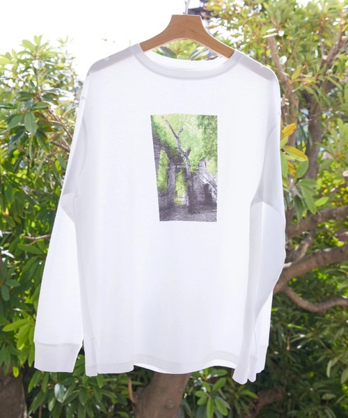 AMERICAN HOLIC(アメリカンホリック)の「Treeフォトカットプルオーバー(Tシャツ/カットソー・レディース・B/A・M/L)」の2枚目の写真