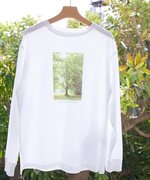 AMERICAN HOLIC(アメリカンホリック)の「Treeフォトカットプルオーバー(Tシャツ/カットソー・レディース・B/A・M/L)」の3枚目の写真