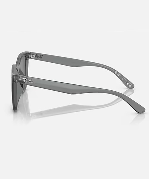 Ray-Ban(レイバン)の「Ray-Ban/レイバン サングラス ASIAN DESIGN 紫外線対策 UV対策 0RB4391D(サングラス・メンズ・ブラック×ブラック/ピンク系その他/ブラック×ブルー・FREE)」の5枚目の写真