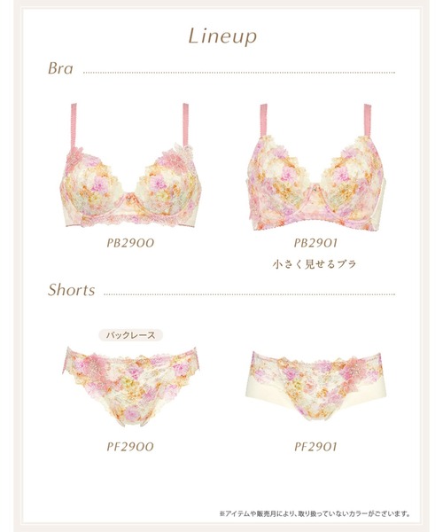 「2900シリーズ」 ブラジャー（ブラジャー）｜Wing Lesiage（ウイングレシアージュ）