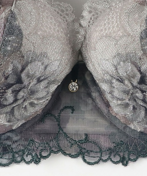 「2900シリーズ」 ブラジャー（ブラジャー）｜Wing Lesiage（ウイングレシアージュ）