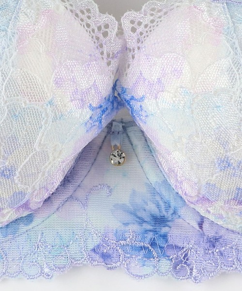 「2900シリーズ」 ブラジャー（ブラジャー）｜Wing Lesiage（ウイングレシアージュ）